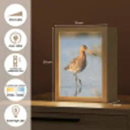 Vogel - Steltloper - Water - Natuur Light Box met kabel (Kinderlampje) klein -USP_FR