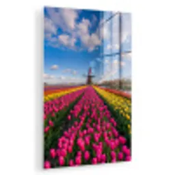 Tulpen - Holland - Molen - Kleurrijk plexiglas 5mm klein -zzzproduct_nieuw