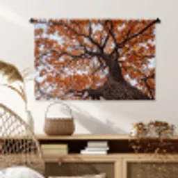 Boom - Bladerdak - Herfst - Oranje - Sfeervol Wandkleed katoen middel -sfeer5