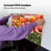 Bloemenveld - Klaprozen - Kleurrijk Inductie beschemer met haakjes klein -ky-ophangen-nl