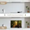 Zon - Bomen - Bos - Landschap - Natuur keuken achterwand spatscherm klein -voor_na_NL