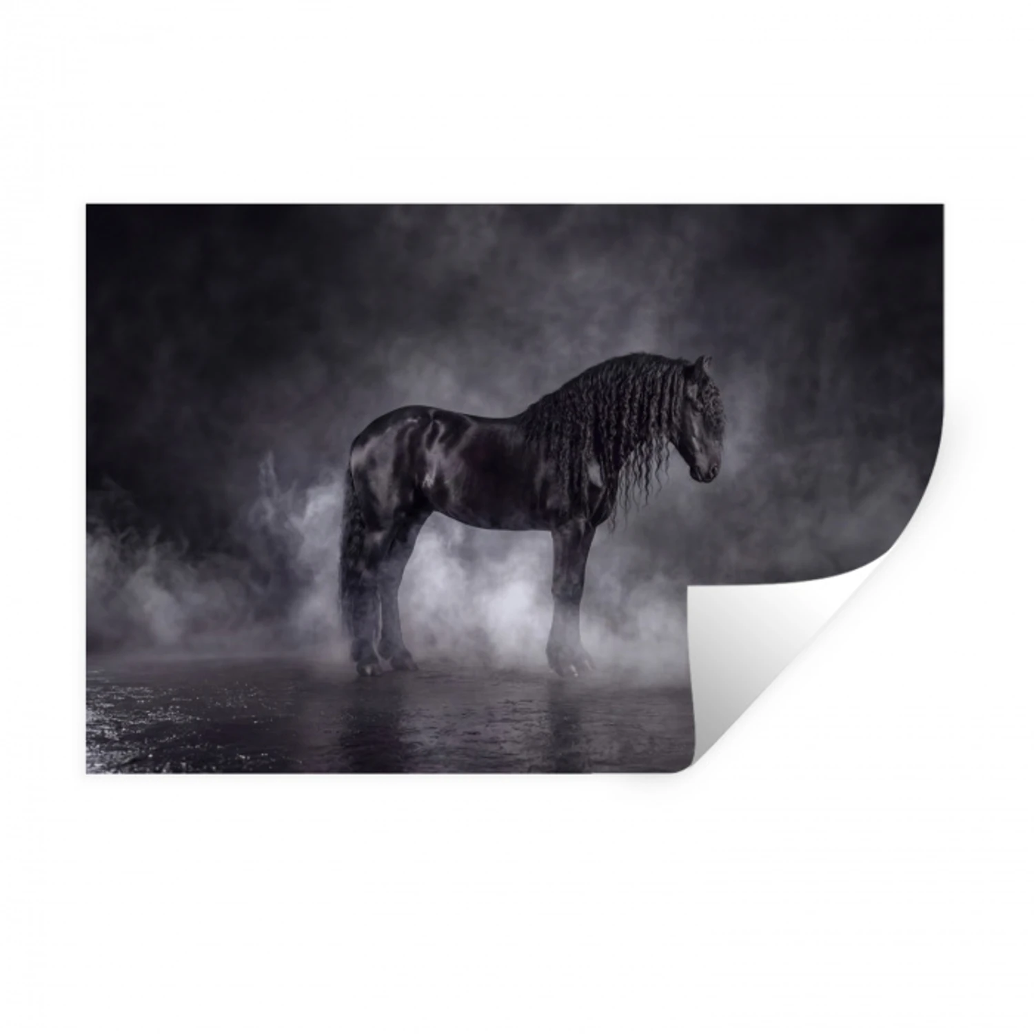 Paard - Magisch - Zwart Muursticker klein -3d