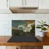 Zwaan - Oude meesters - Jan Asselijn keuken achterwand spatscherm klein -sfeer2