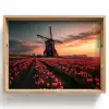 Molen - Zonsondergang - Tulpen - Rood Dienblad Rechthoek middel -z3d_shopping