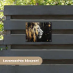Portret - Leeuw - Abstract - Goud tuinposter los doek klein -sfeer3