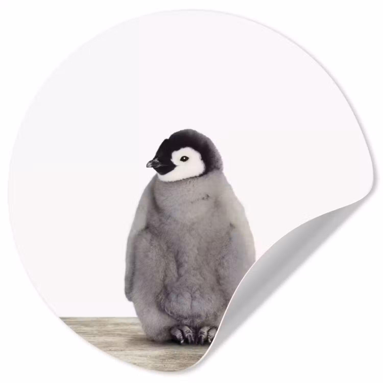 Behangcirkel - Kinderen - Pinguïn - Grijs - Dieren - Meisjes - Jongens