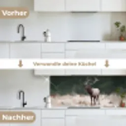 Edelhert - Gewei - Schildering - Rustiek keuken achterwand 2 middel -voor-na_DE