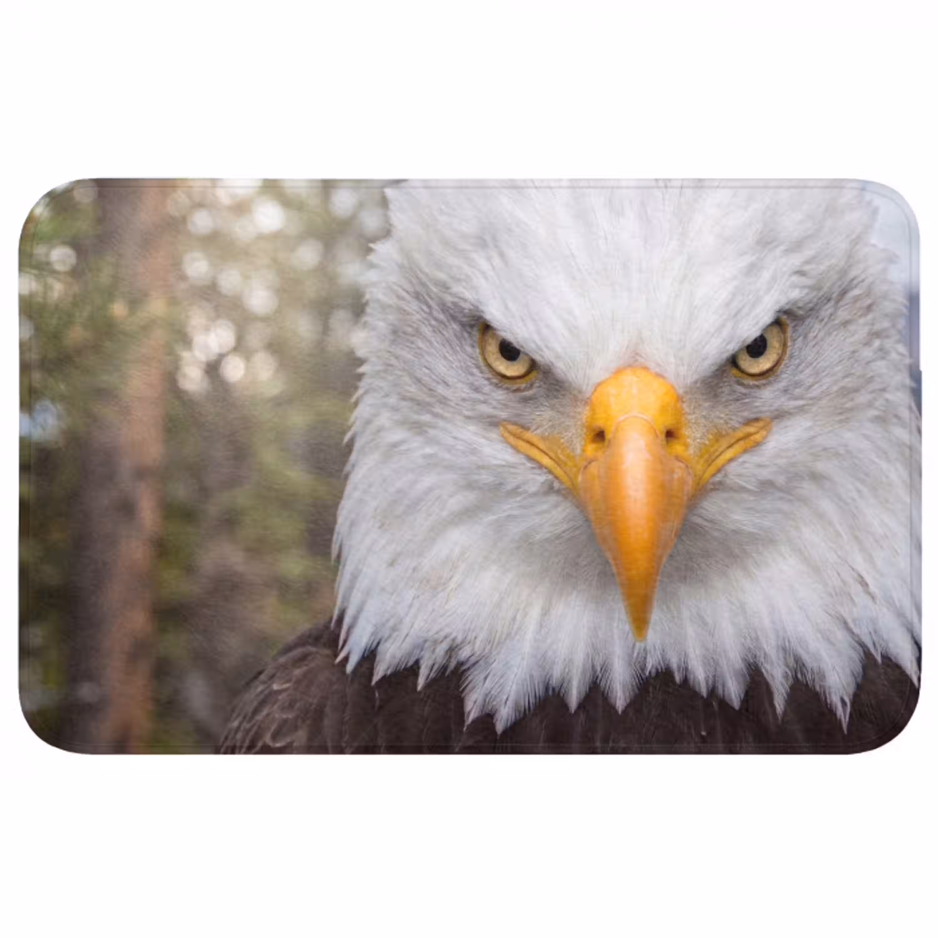 Amerikaans - Zeearend - Portret - Geel Badmat middel -3d