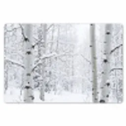 Berkenbomen - Sneeuw - Winter - Bos - Wit Placemat vinyl groot -zzsfeer1_Kitchenyeah-website