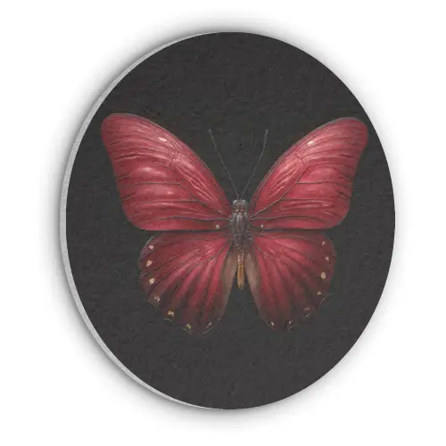 Vlinder - Rood - Minimalistisch Akoestische PET Vilt - Rond klein -3d