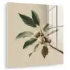 Tak - Groene Bladeren - Vruchten plexiglas 5mm klein -zzzproduct_nieuw