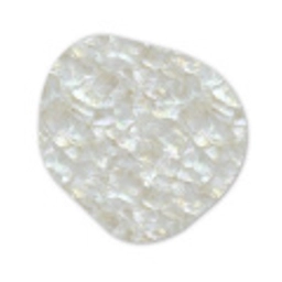 Parelmoerglans - Wit - Schelp Wandcirkel Organisch Forex 3mm klein 629 -3d