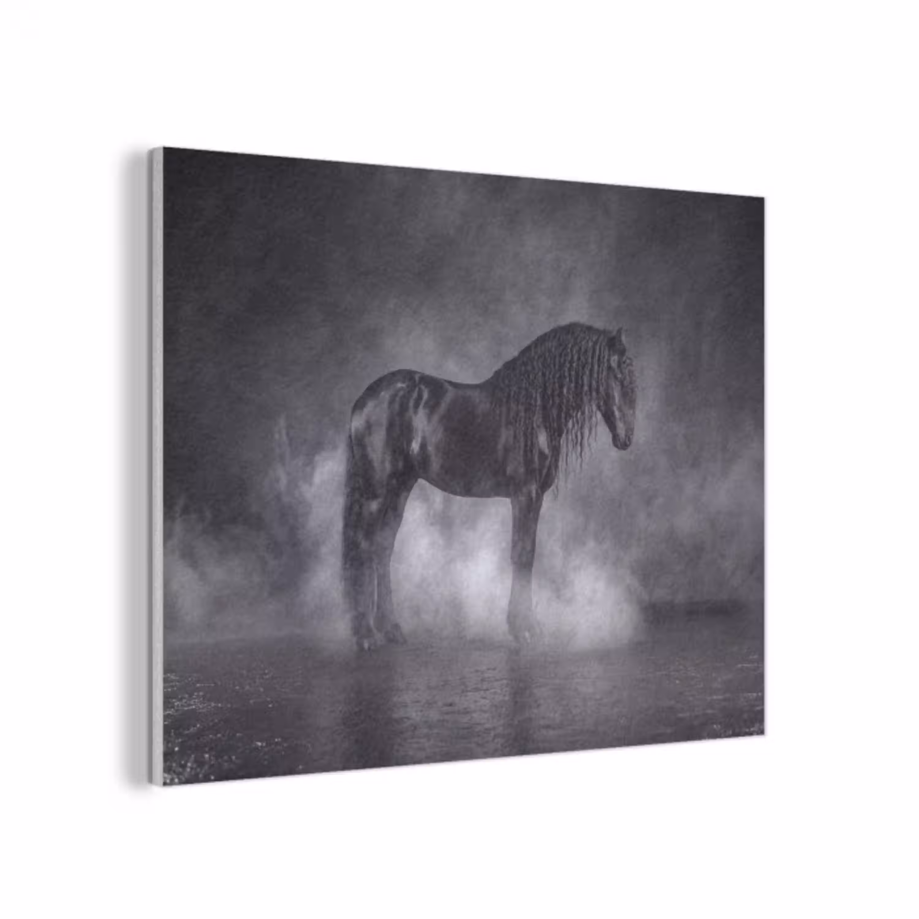 Paard - Magisch - Zwart PET vilt klein -3d