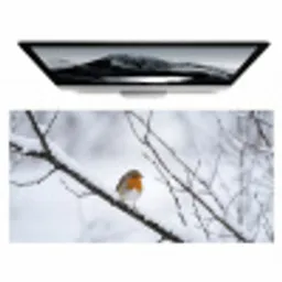 Roodborstje - Tak - Sneeuw - Winter - Levendig Muismat XXL klein -zzz3d