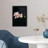 Orchidee - Bloemen - Zwart - Roze - Knoppen fotolijst zwart zonder passe partout klein -sfeer4