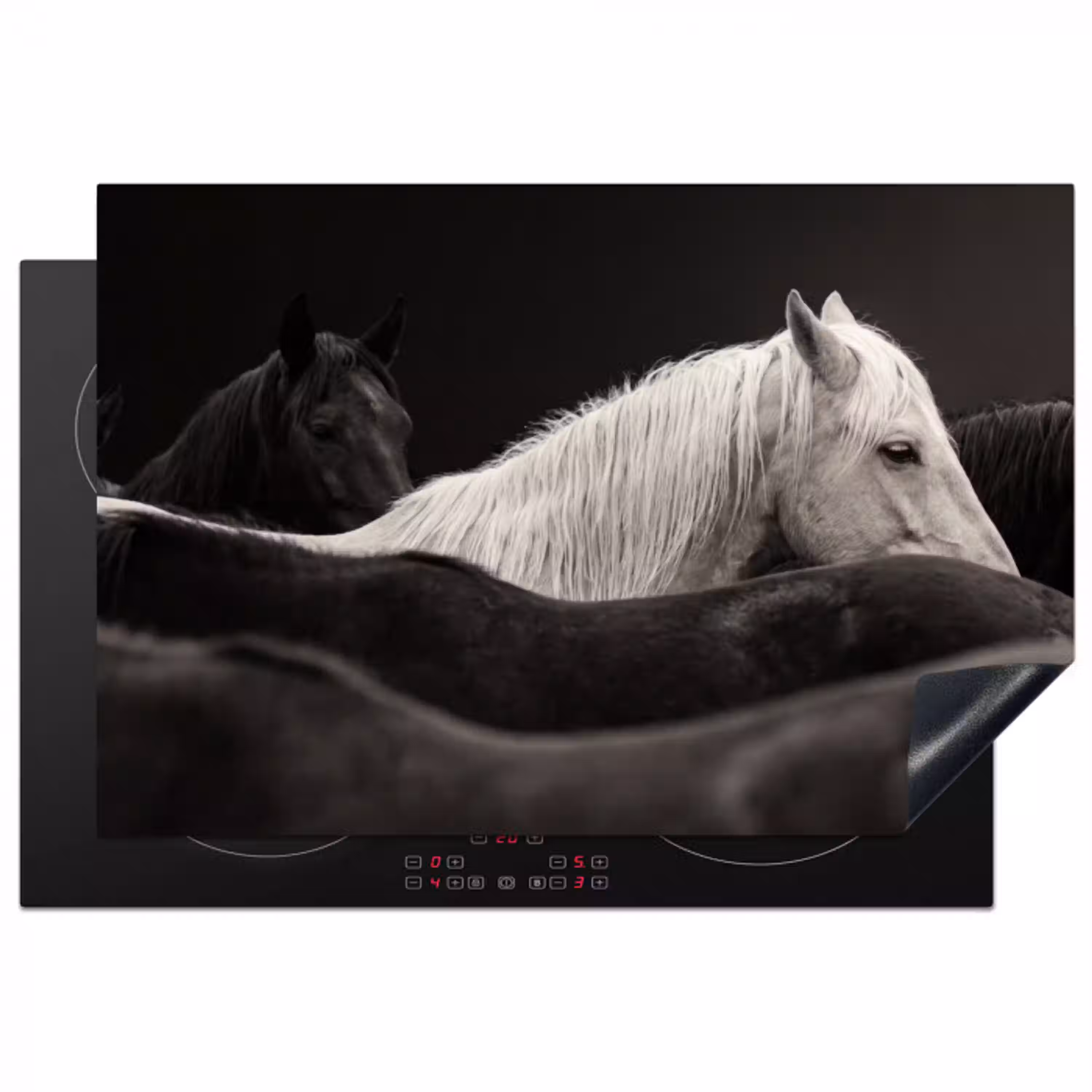 Paarden - Zwart - Wit - Kudde Inductie beschermer vinyl 3mm klein -3d