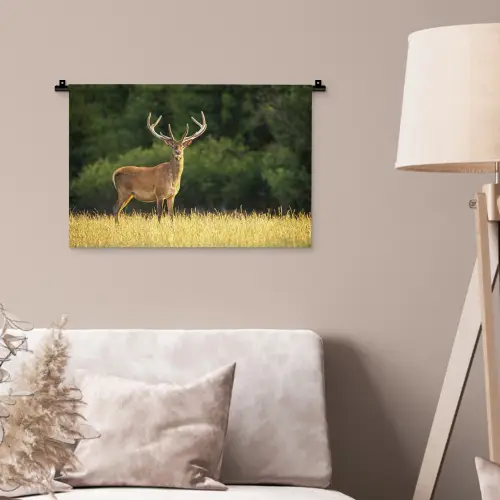 Hert - Gewei - Gras - Natuur - Dieren - Groen Wandkleed katoen klein -sfeer4
