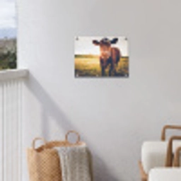 Koe bij zonsondergang op een veld vol paardenbloemen tuinposter los doek klein -sfeer8