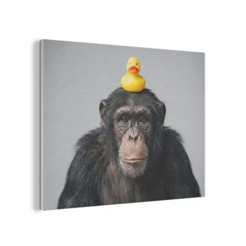 Chimpansee - Badeend - Grijs PET vilt klein -3d