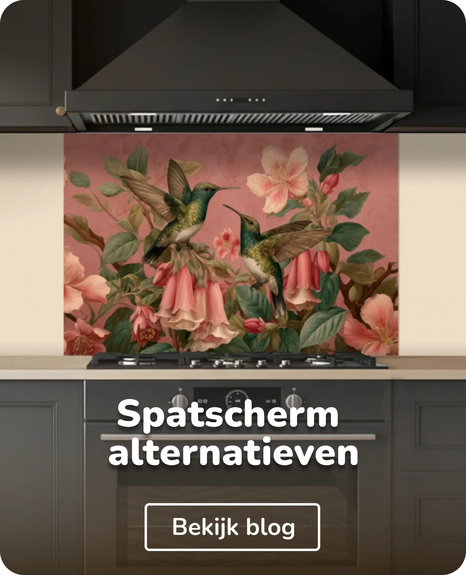 spatscherm alternatieven