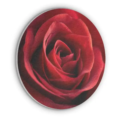 Rood - Roos - Romantisch Akoestische PET Vilt - Rond klein -3d