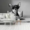 Chihuahua - Hond - Zonnebril - Humoristisch - Zwart - Wit - Spaghetti fotobehang vinyl groot -woonkamer