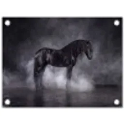 Paard - Magisch - Zwart tuinposter los doek klein -3d