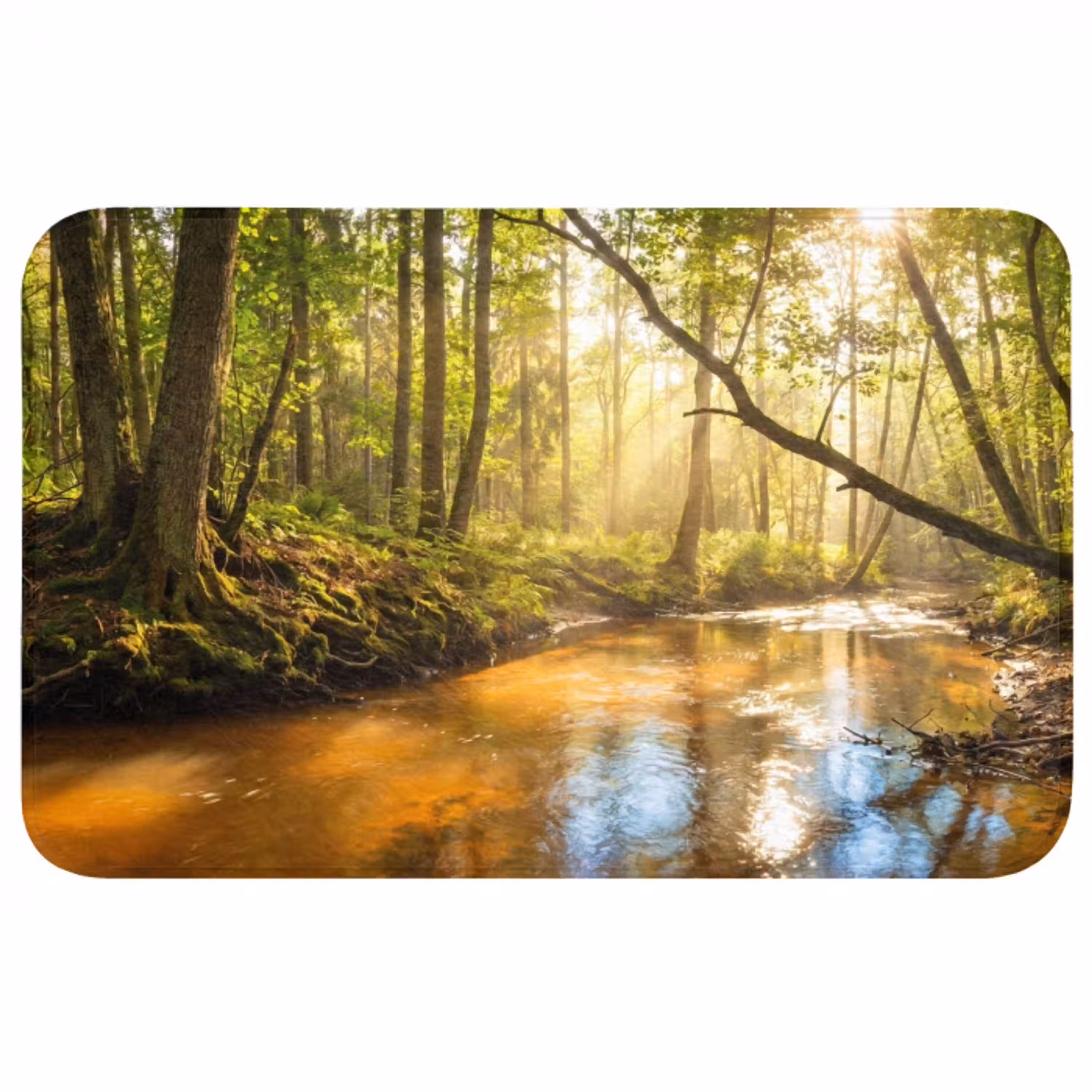 Bos - Beek - Zonlicht - Natuur - Groen Badmat middel -3d