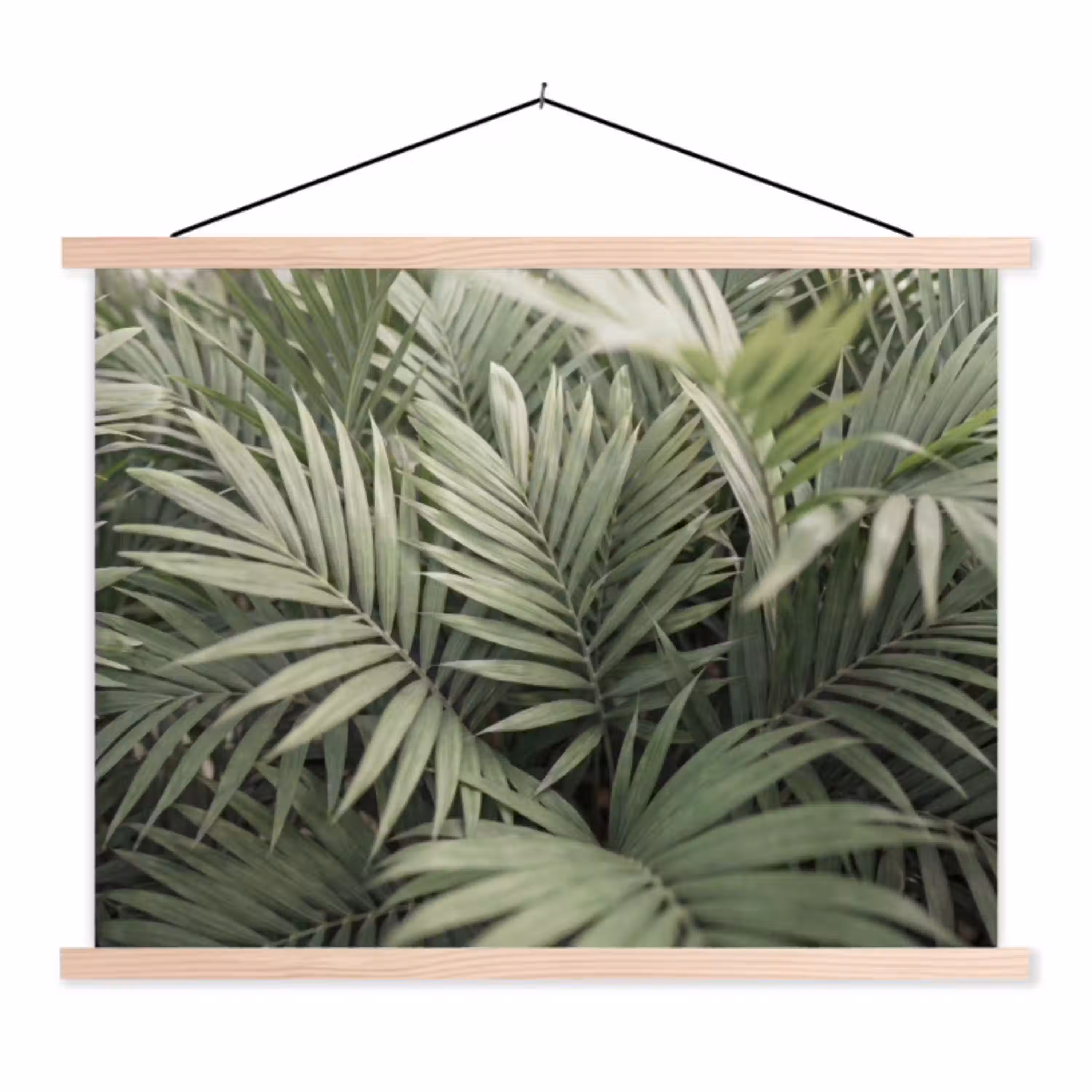 Plant - Palmbladeren - Natuur - Groen textielposter latten blank klein -3d