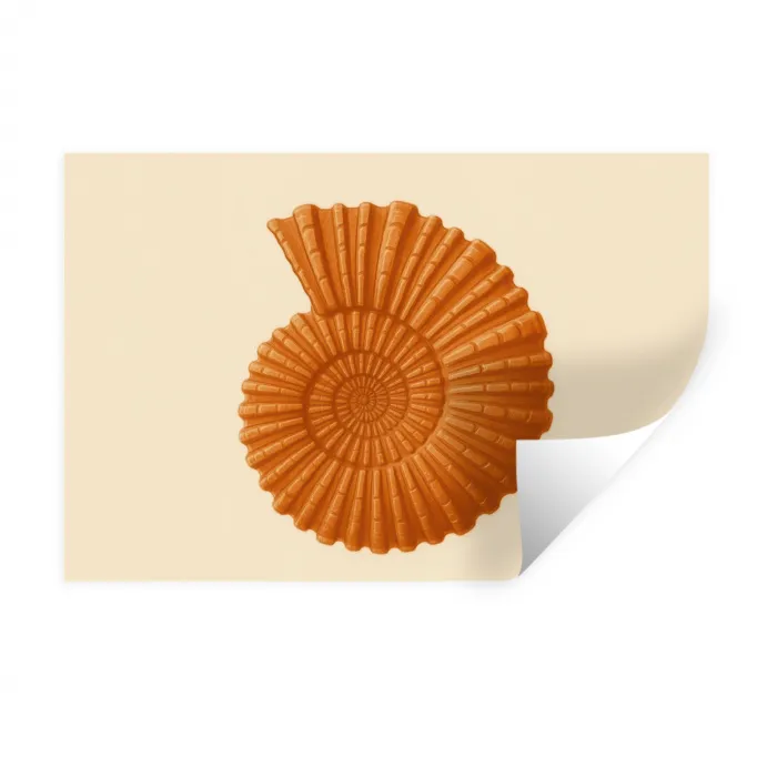 Schelp - Oranje - Ribbels Muursticker klein -3d