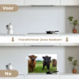 Schotse hooglander - Koeien - Natuur - Groen - Gras keuken achterwand spatscherm klein -voor_na_NL