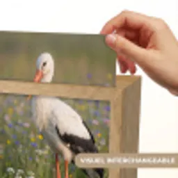 Ooienvaar - Bloemen - Weide - Kleurrijk Light Box met kabel (Kinderlampje) klein -USP_websiteprintFR