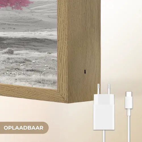 Boom - Natuur - Roze - Zwart wit Light Box met batterij (Wandlamp) middel -USP_websiteoplaadbaarNL
