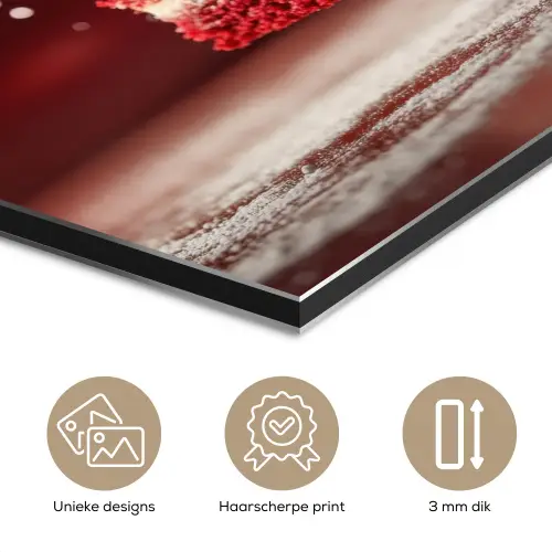Rode - Velvet - Taart - Eten aluminium wit klein -closeup_NL