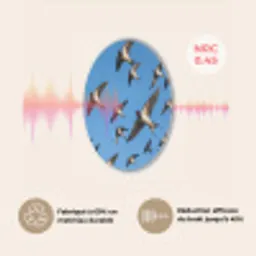 Zwaluwen - Vliegen - Blauw Akoestische PET Vilt - Rond klein -USP_FR