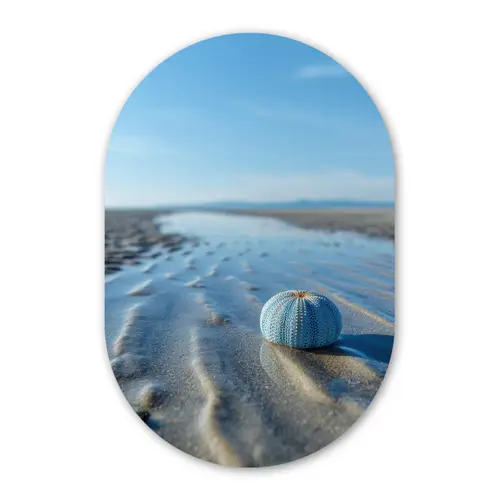 Strand - Schild - Water - Blauw Wandcirkel Ovaal Forex klein -3d