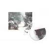 Bos - Winter - Bomen - Natuur - Pad - Sneeuw fotobehang vinyl groot -3d
