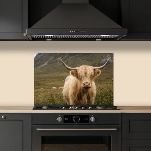 Schotse hooglander - Bergen - Grasveld keuken achterwand spatscherm klein -sfeer1