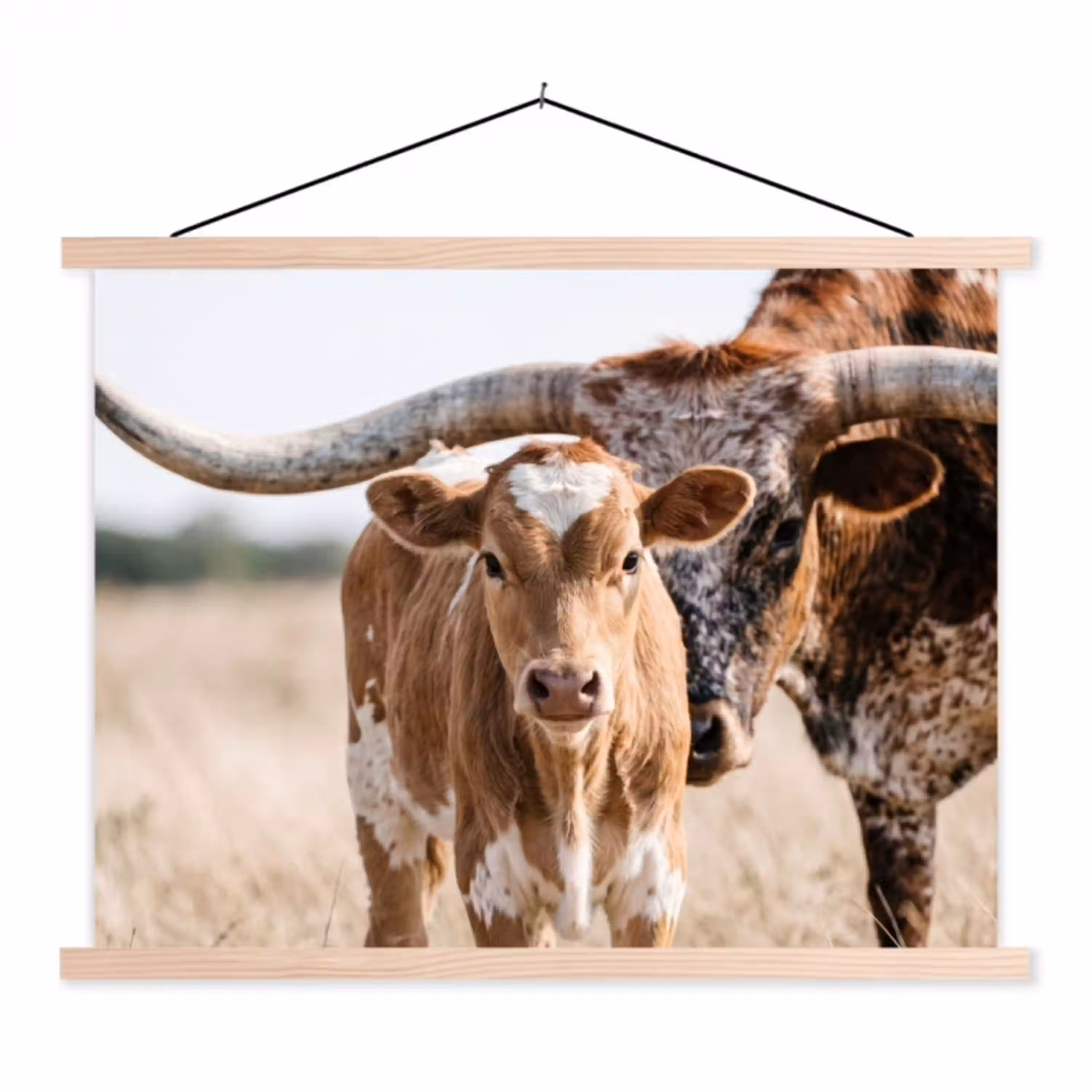 Texas Longhorn - Kalf - Weide - Dieren textielposter latten blank klein -3d