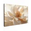 Close up - Pioenroos - Wit Tuinposter op houten frame 2 cm dik klein -3d