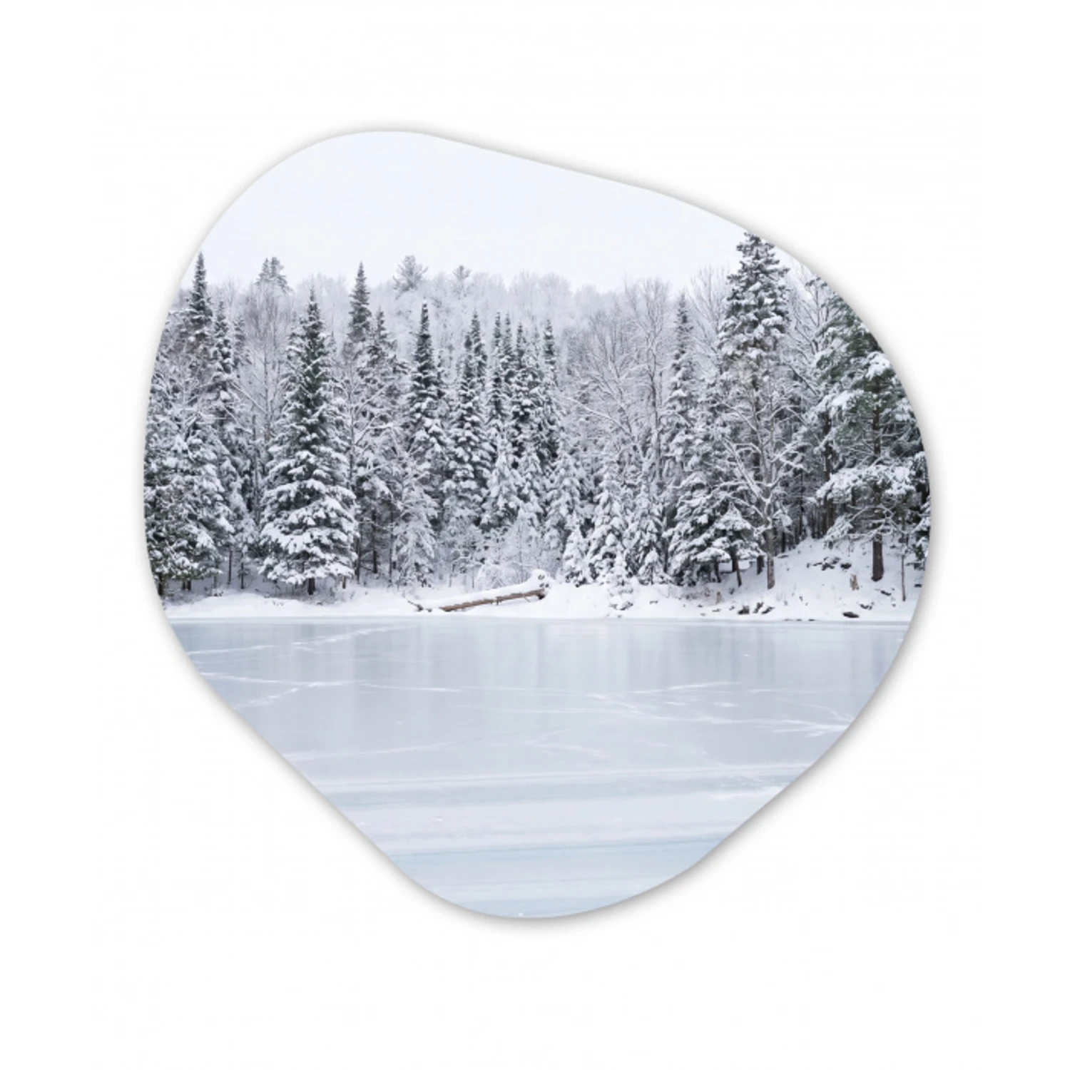Meer - Dennen - IJs - Winter - Rustgevend Wandcirkel Organisch Aluminium middel -3d