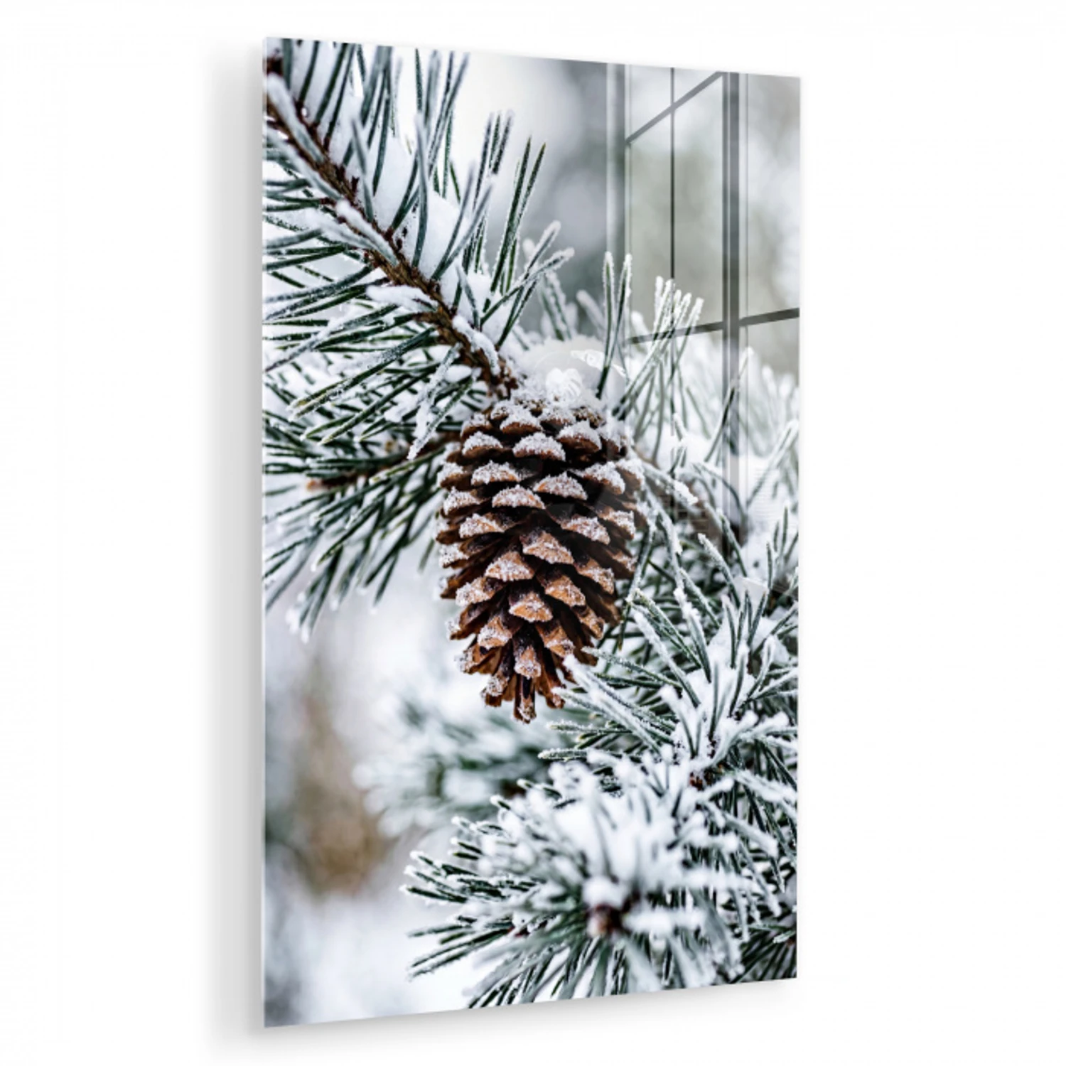 Dennenappel - Tak - Sneeuw - Winter - Sfeervol plexiglas 5mm klein -zzzproduct_nieuw