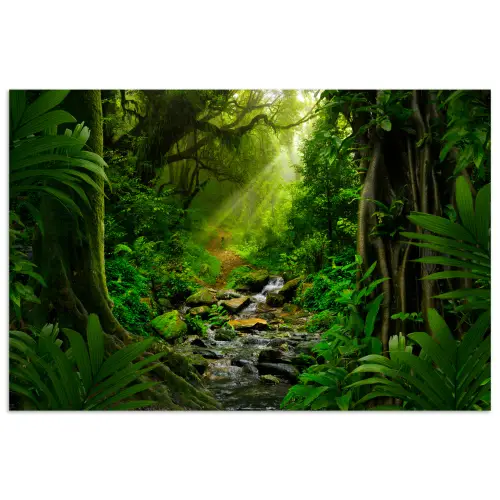 Jungle - Water - Bladeren - Zon - Natuur poster papier klein -3d