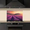 Lavendelveld - Zonsondergang - Paars keuken achterwand spatscherm klein -sfeer1