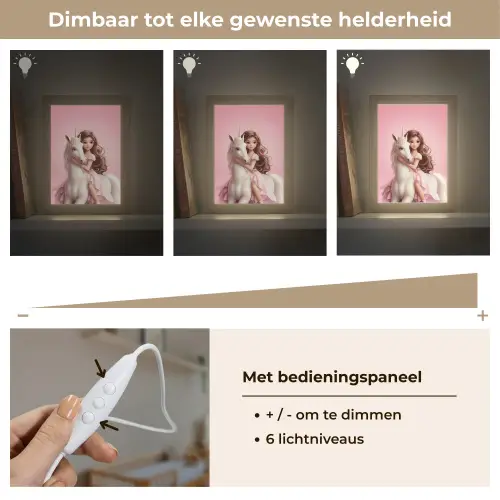 Prinses - Roze - Eenhoorn Light Box met kabel klein -USP_dimbaarNL
