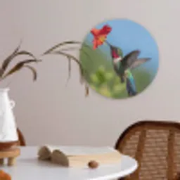 Kolibrie - Bloem - Natuur - Groen Akoestische PET Vilt - Rond klein -sfeer3