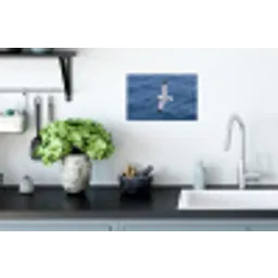 Zeemeeuw - Oceaan - Blauw Muursticker klein -keuken
