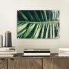 Bladeren - Tropisch - Jungle plexiglas 5mm klein -sfeer1