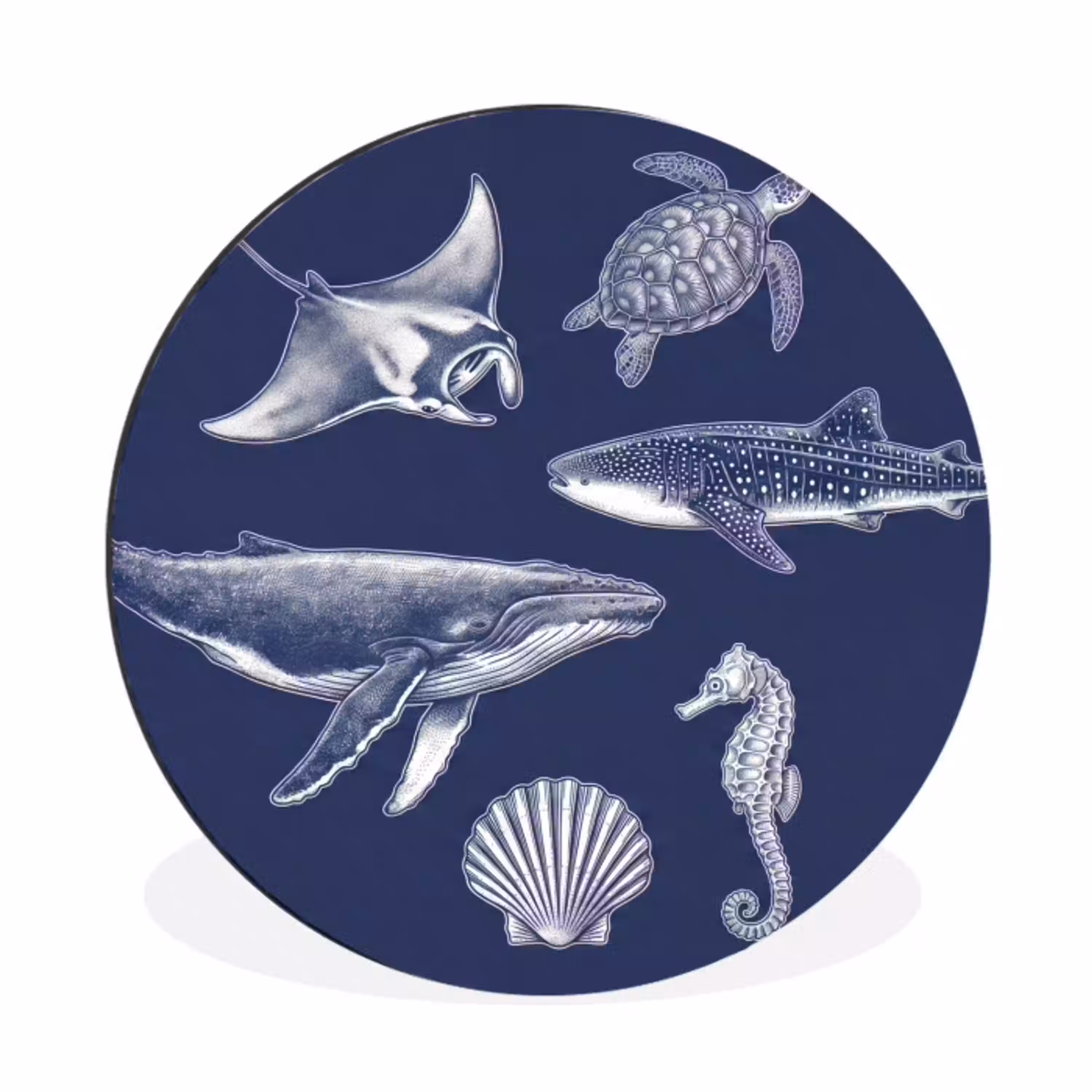 Dieren - Zeeleven - Oceaan - Graveren - Blauw Wandcirkel aluminium klein -3d