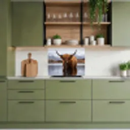 Schotse hooglander - Bruin - Water keuken achterwand 2 middel -sfeer3